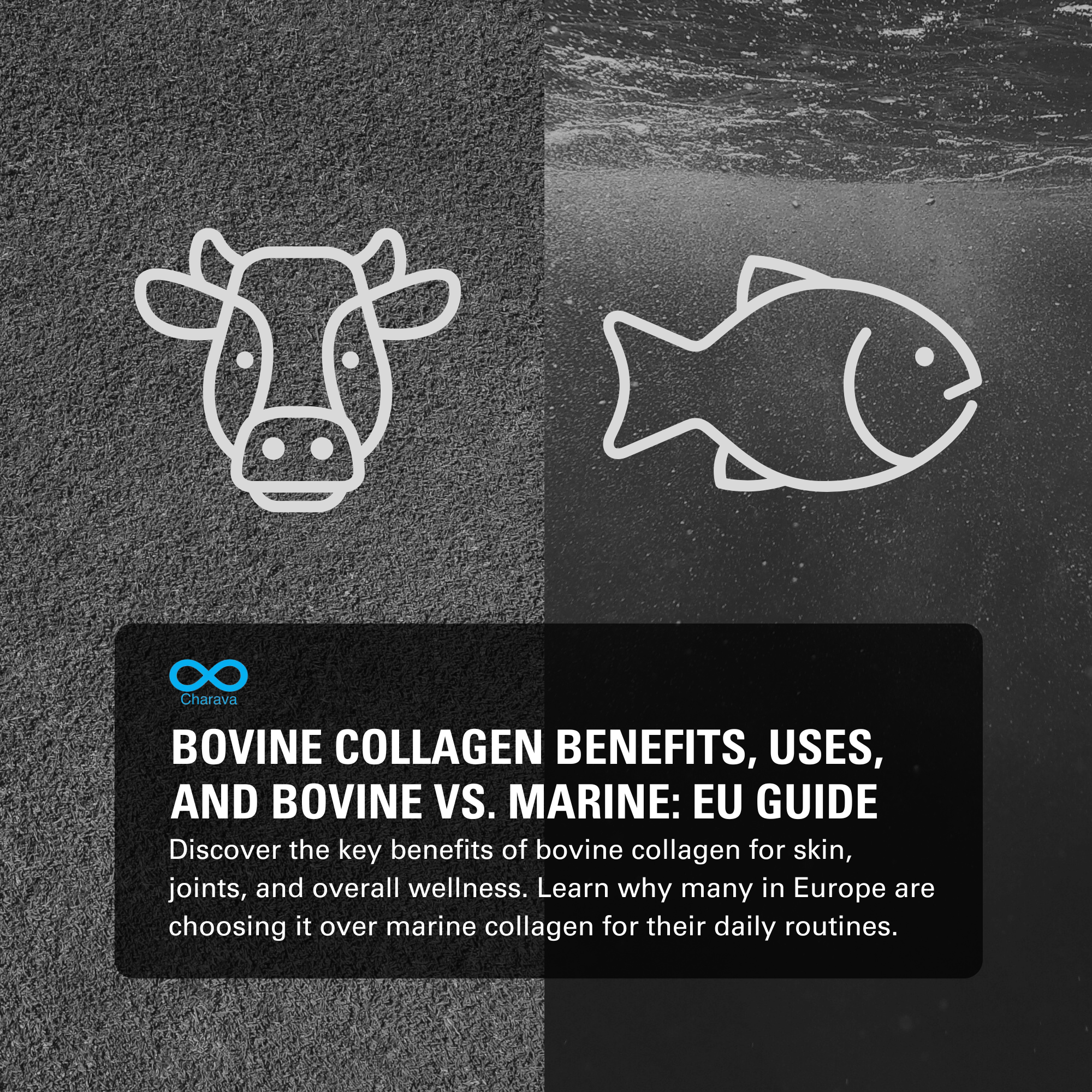 Bovine Collagen Benefits, Uses & Comparison with Marine: EU Guide | Charava Europe