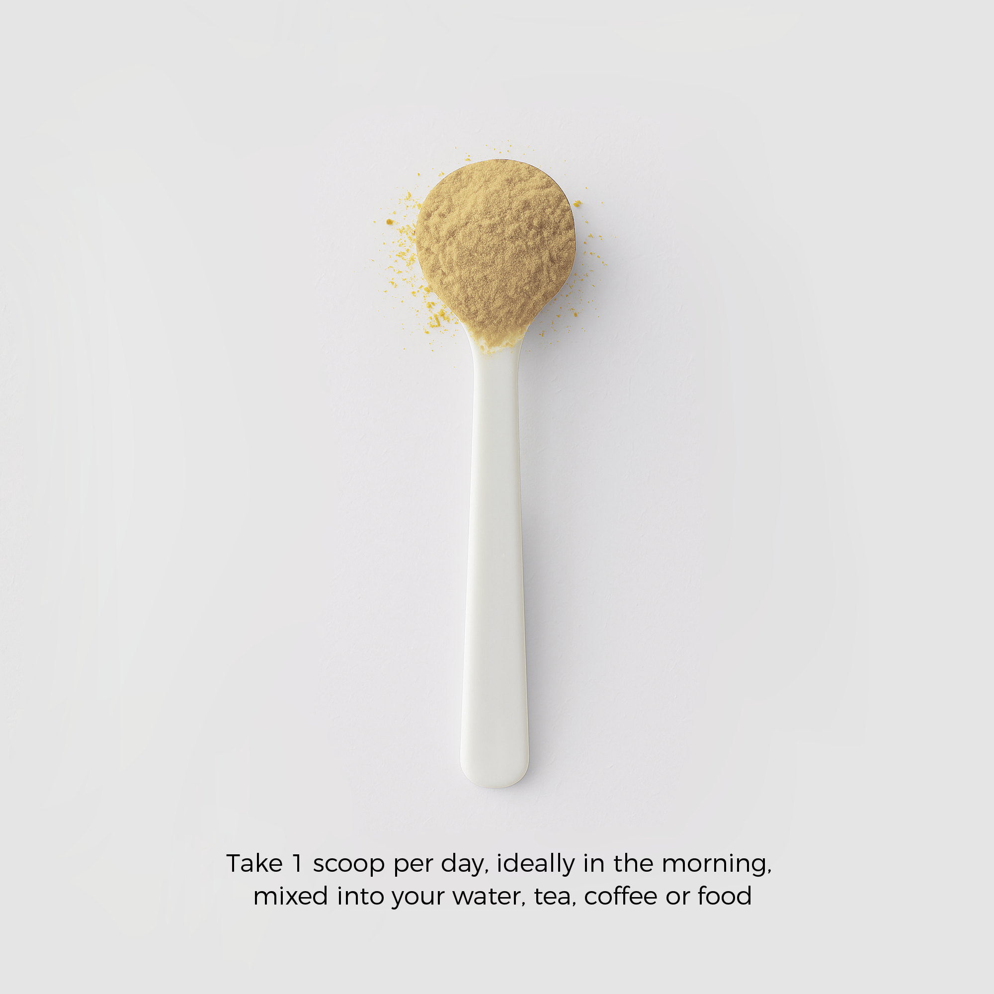 Lion's Mane Powder - 60 Grams - 30 Servings